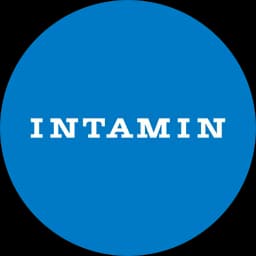 Intamin Amusement Rides